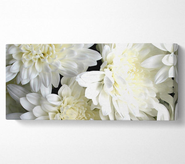 Weiße Blumen