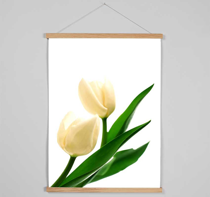 White Tulips Hanging Poster - Wallart-Direct UK
