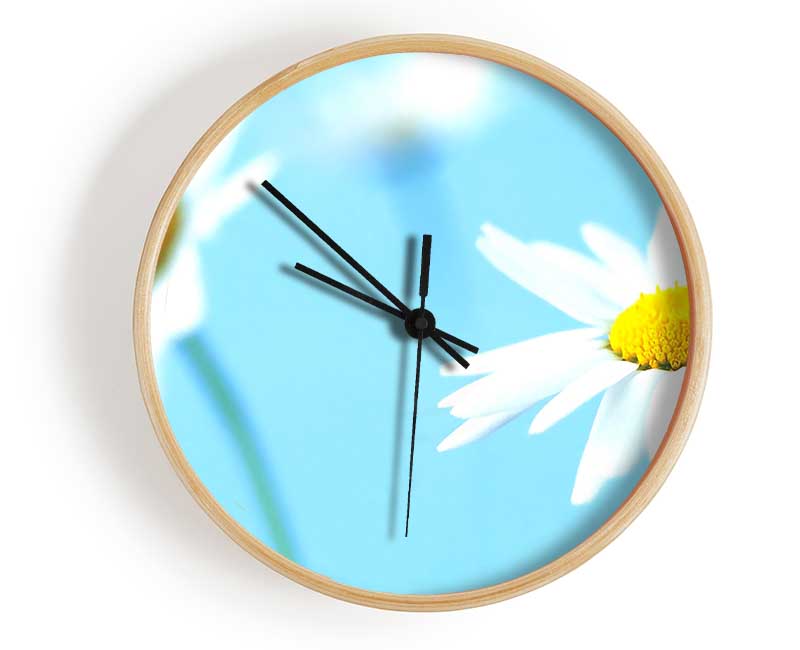 White Daisies On Blue Clock - Wallart-Direct UK