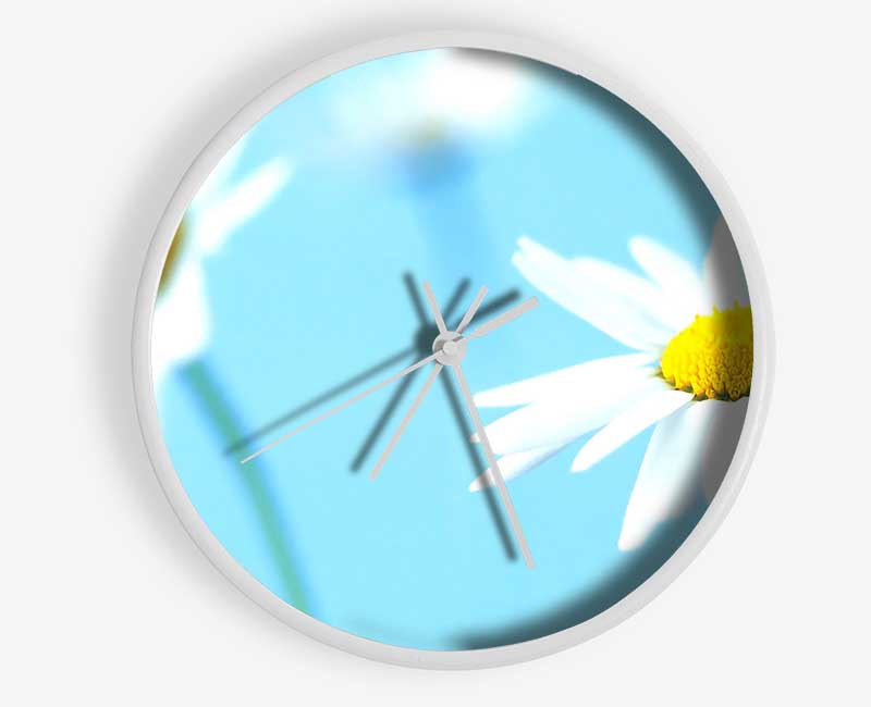 White Daisies On Blue Clock - Wallart-Direct UK