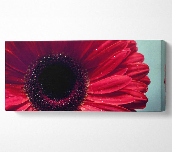 Gerbera Flower Deep Red