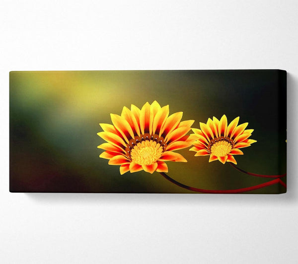 Duo Fire Flowers