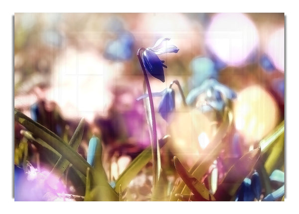 Eine Blume