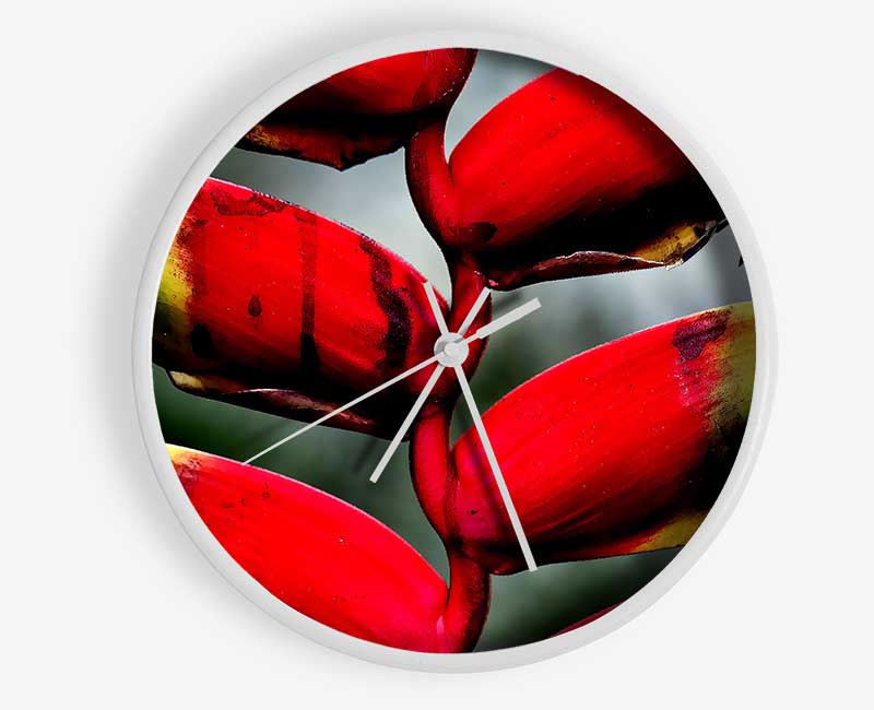 Heliconia Pendula Inflorescence Clock - Wallart-Direct UK