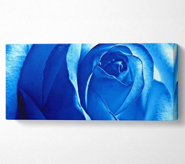 Blaue Rose