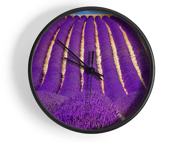 Lavender Field Clock - Wallart-Direct UK