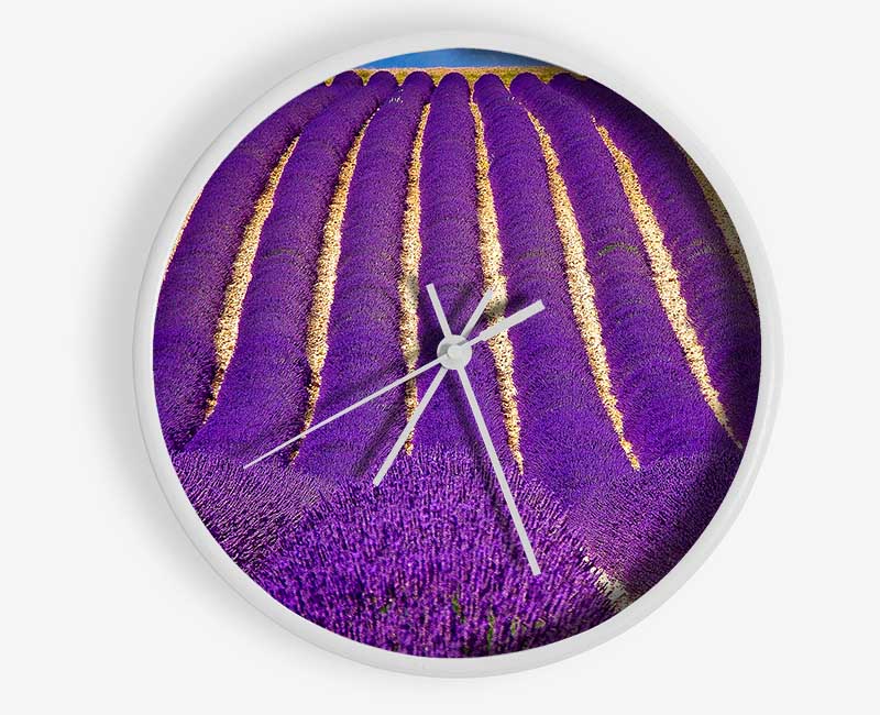 Lavender Field Clock - Wallart-Direct UK