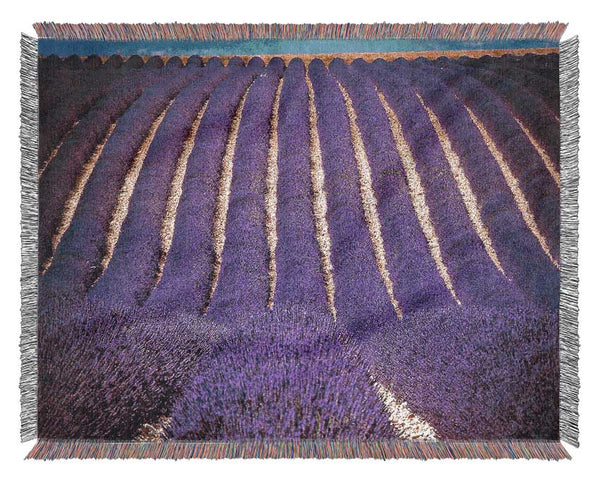 Lavender Field Woven Blanket