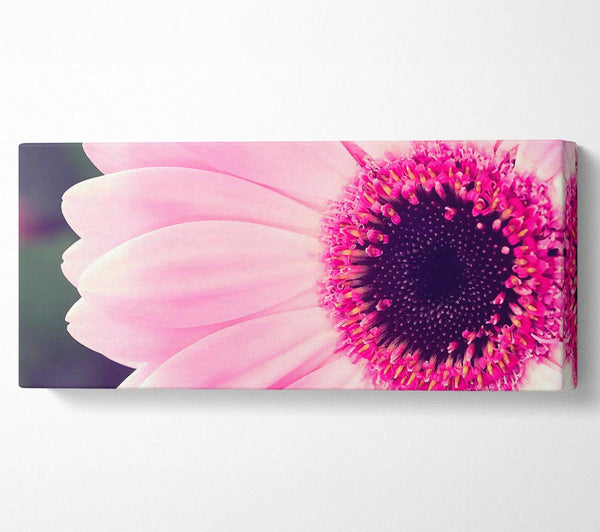 Pink Gerbera Daisy Centre