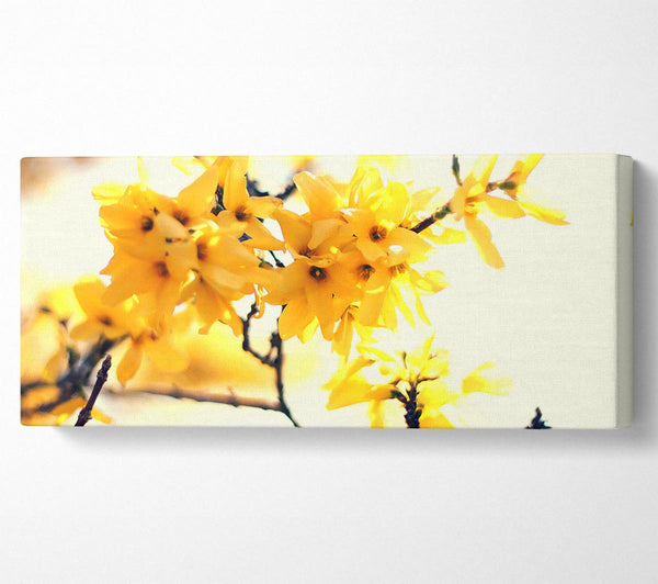Yellow Tree Flower