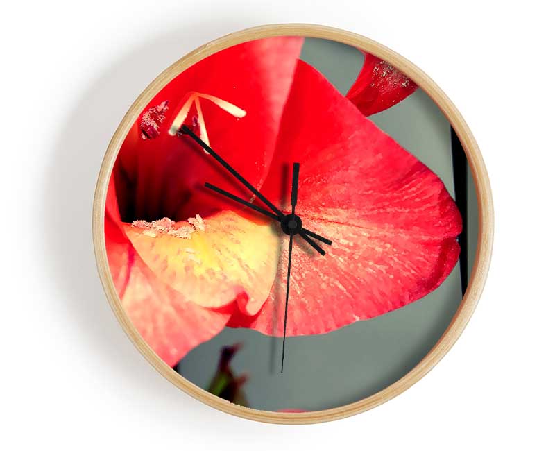 Three Petal red Clock - Wallart-Direct UK