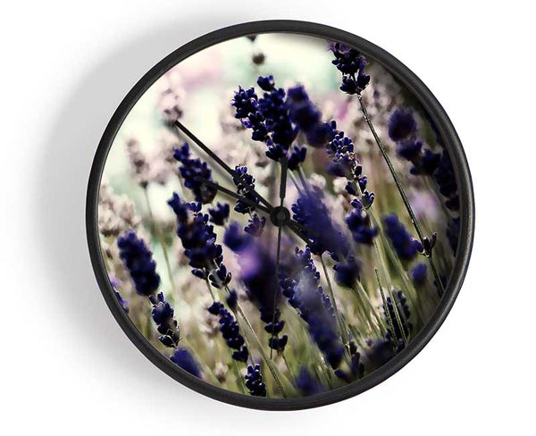 Lavender Flower Stems Clock - Wallart-Direct UK