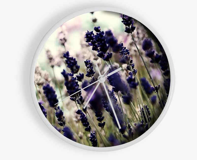 Lavender Flower Stems Clock - Wallart-Direct UK