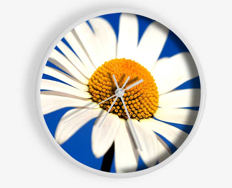 White Daisy Against A Blue Sky Clock - Wallart-Direct UK