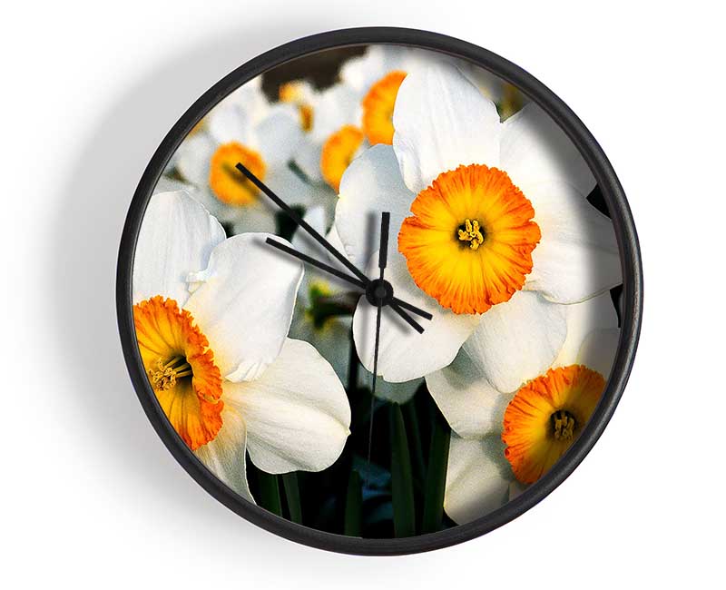 White Daffodils Clock - Wallart-Direct UK