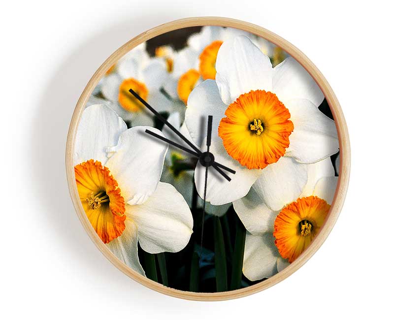 White Daffodils Clock - Wallart-Direct UK