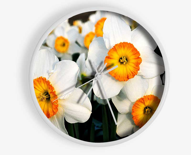 White Daffodils Clock - Wallart-Direct UK