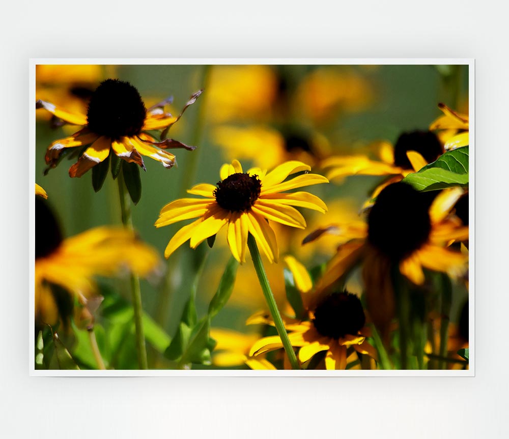 Yellow Flowers In The Garden Print Poster Wall Art