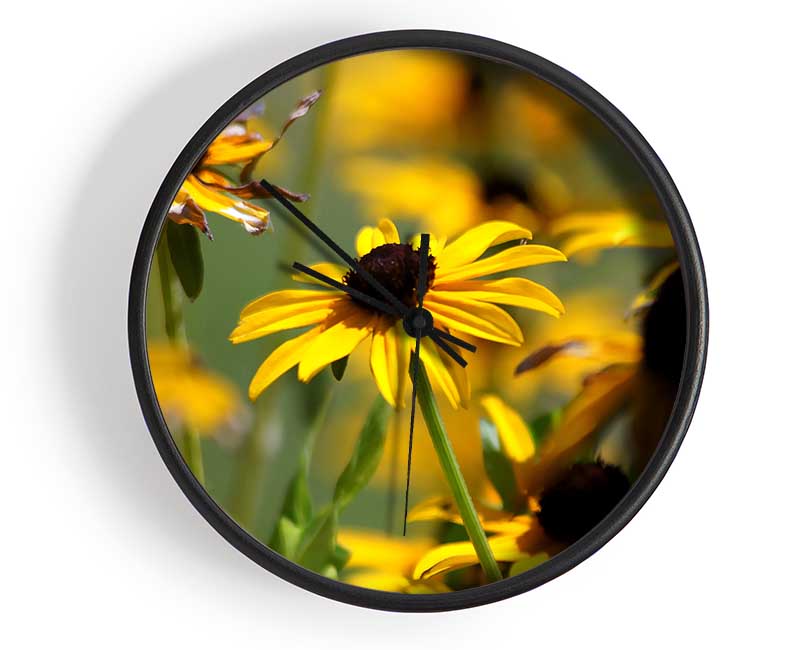 Yellow Flowers In The Garden Clock - Wallart-Direct UK
