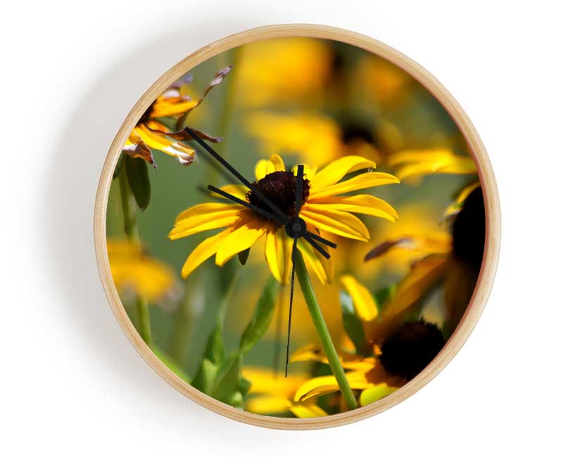 Yellow Flowers In The Garden Clock - Wallart-Direct UK