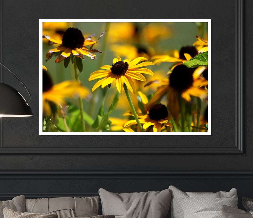 Yellow Flowers In The Garden Print Poster Wall Art