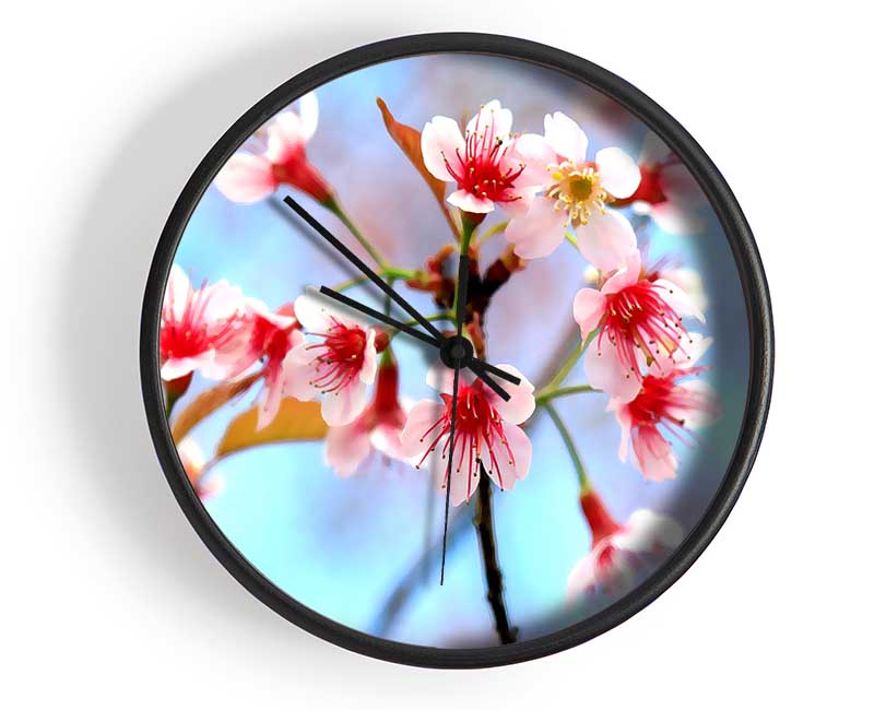 Wild Himalayan Cherry Clock - Wallart-Direct UK