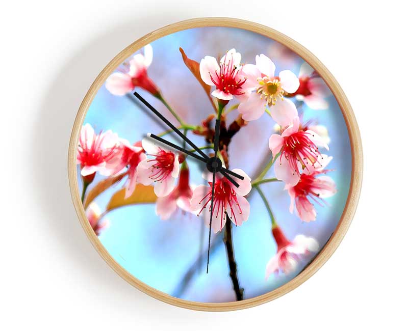 Wild Himalayan Cherry Clock - Wallart-Direct UK