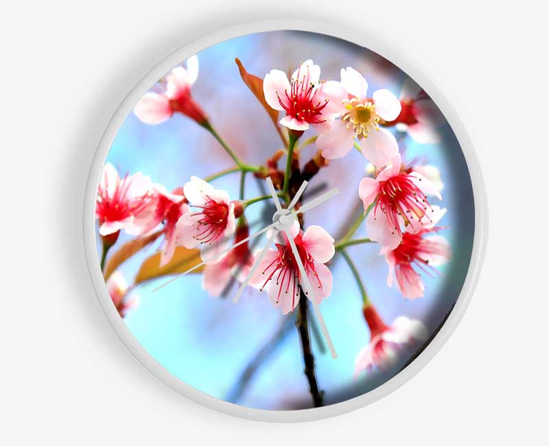 Wild Himalayan Cherry Clock - Wallart-Direct UK