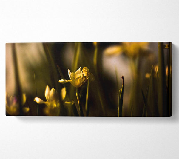Verwelkte gelbe Blumen