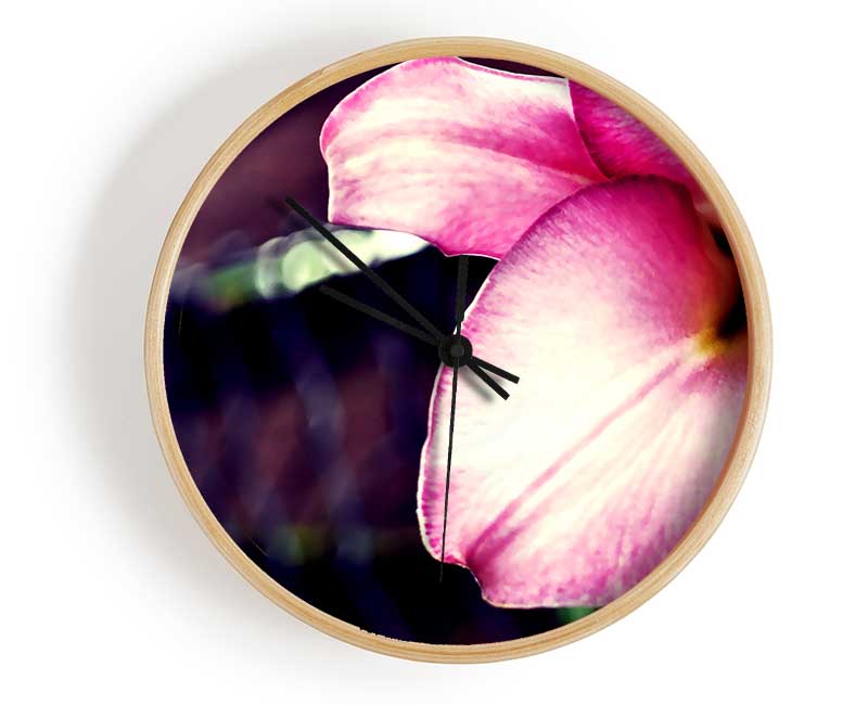 Nahaufnahme eines rosa Blütenblattes
