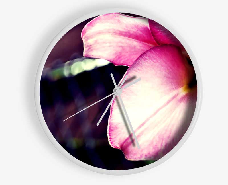 Nahaufnahme eines rosa Blütenblattes