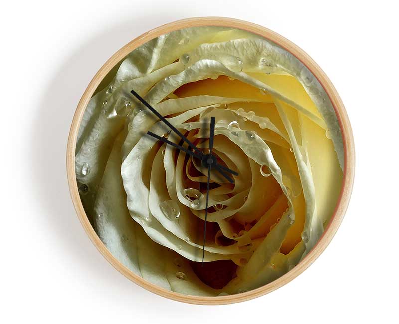 White Rose On Black Velvet Clock - Wallart-Direct UK