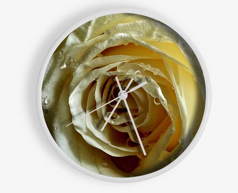 White Rose On Black Velvet Clock - Wallart-Direct UK