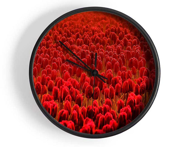 Field Of Scarlet Tulips Clock - Wallart-Direct UK