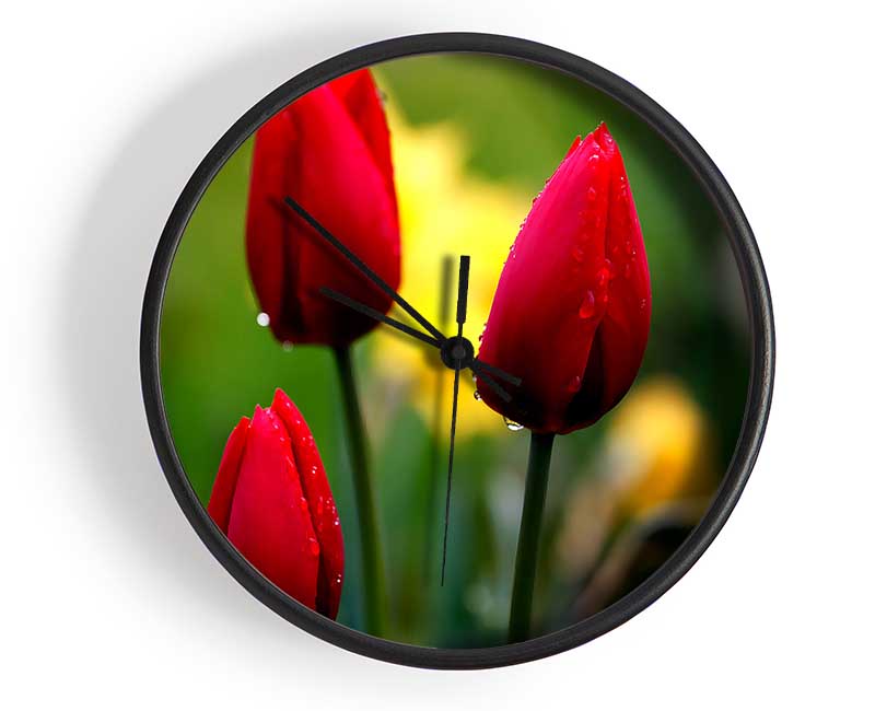 Three Red Tulips Clock - Wallart-Direct UK