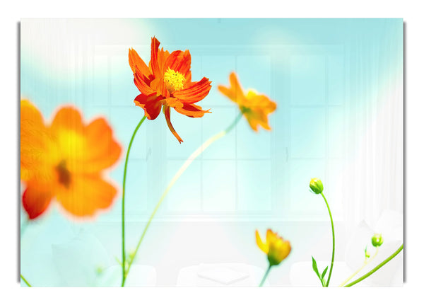 Perfekte Blume