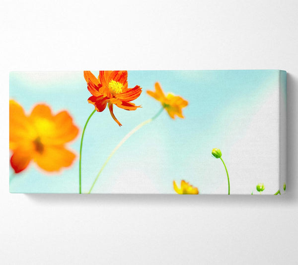 Perfect Flower