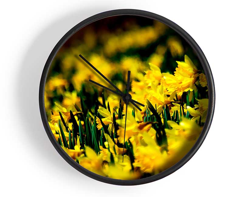 Yellow Daffodil Field Clock - Wallart-Direct UK