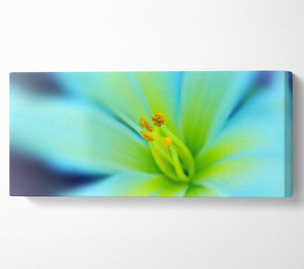Dreamy Flower