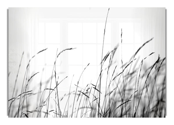 Kleiner Schatten