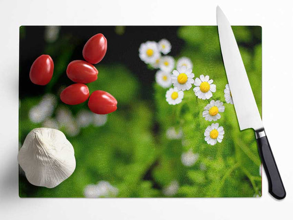 Floral Delight Glass Chopping Board
