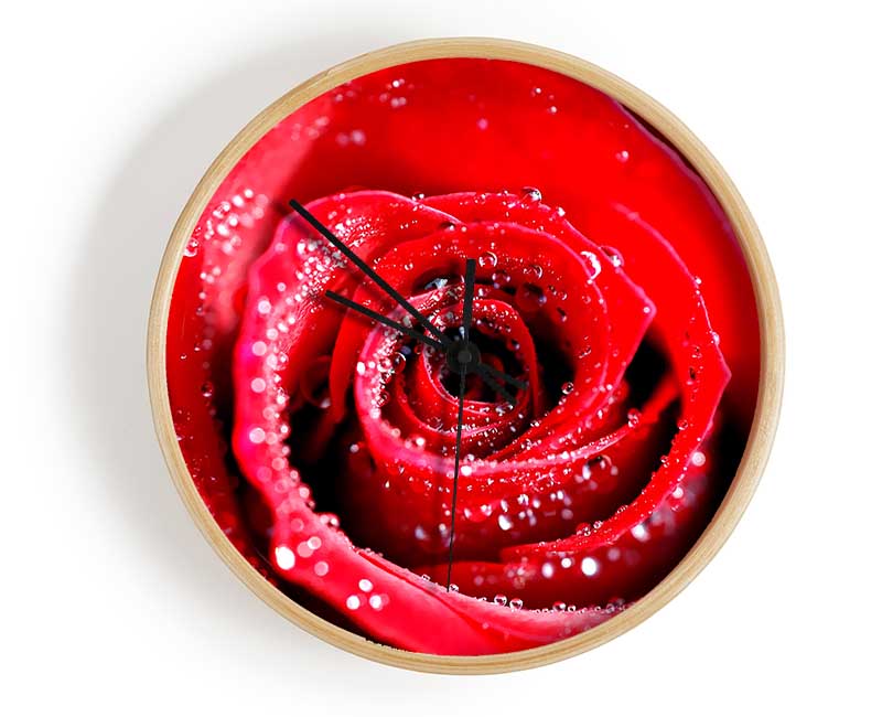 Water Drops On Red Rose Clock - Wallart-Direct UK