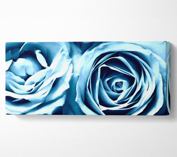 Zwei blaue Rosen