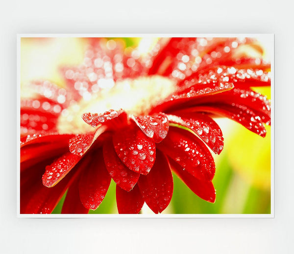 Amazing Red Flower Print Poster Wall Art