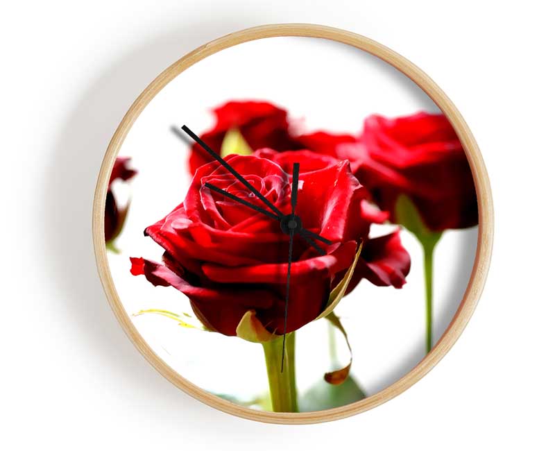 Long Stem Red Roses Clock - Wallart-Direct UK