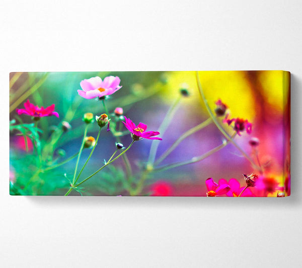 Erstaunliche Wildblumen