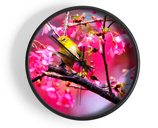Mountain Cherry Bird Clock - Wallart-Direct UK
