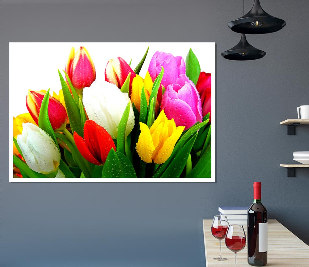 Fresh Tulips Print Poster Wall Art