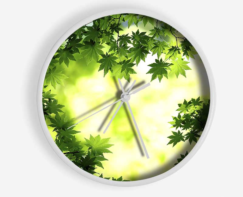Green Maple Leaves Clock - Wallart-Direct UK