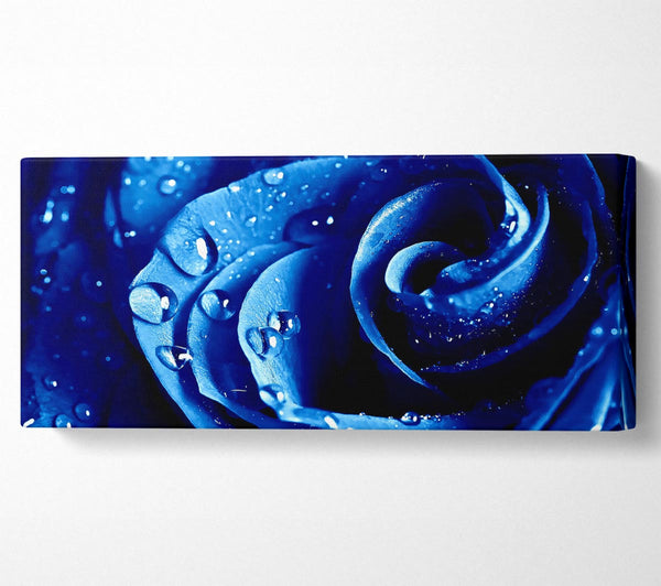 Nasse Tropfen Blaue Rose